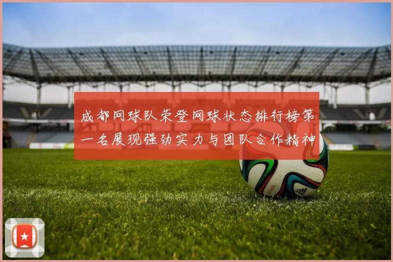成都网球队荣登网球状态排行榜第一名展现强劲实力与团队合作精神