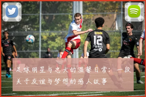 足球明星与忠犬的温馨日常：一段关于友谊与梦想的感人故事
