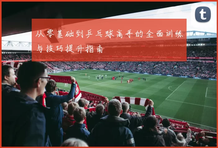 从零基础到乒乓球高手的全面训练与技巧提升指南
