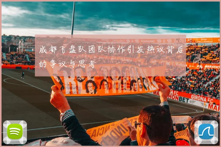 成都飞盘队团队协作引发热议背后的争议与思考