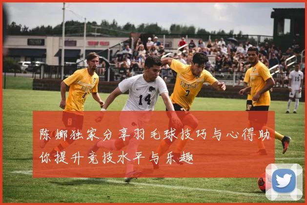 陈娜独家分享羽毛球技巧与心得助你提升竞技水平与乐趣