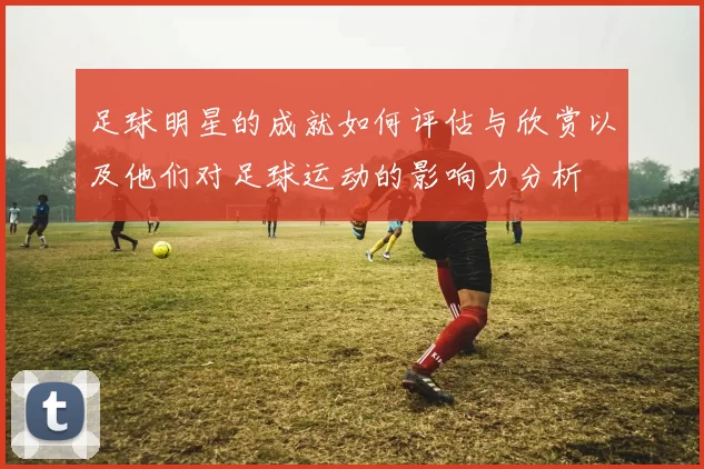 足球明星的成就如何评估与欣赏以及他们对足球运动的影响力分析