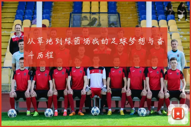 从草地到绿茵场我的足球梦想与奋斗历程