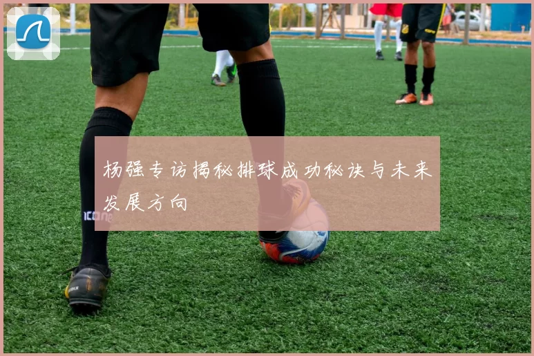 杨强专访揭秘排球成功秘诀与未来发展方向