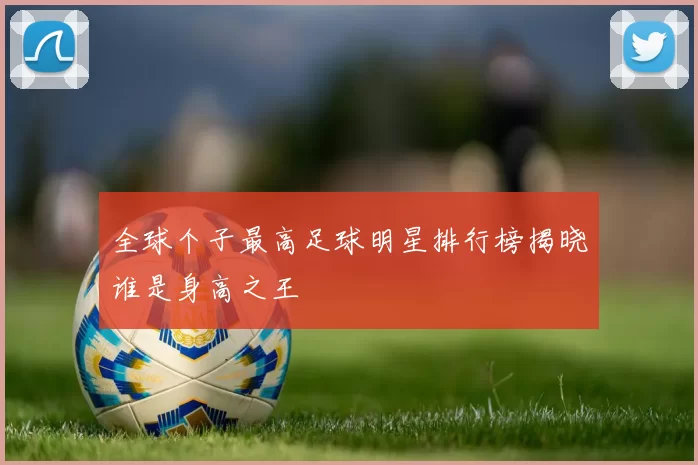 全球个子最高足球明星排行榜揭晓谁是身高之王