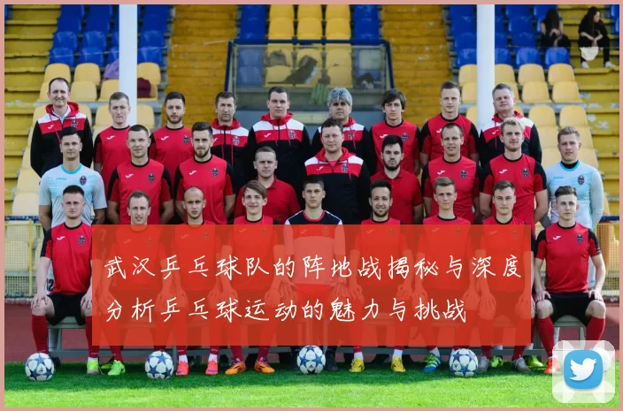 武汉乒乓球队的阵地战揭秘与深度分析乒乓球运动的魅力与挑战