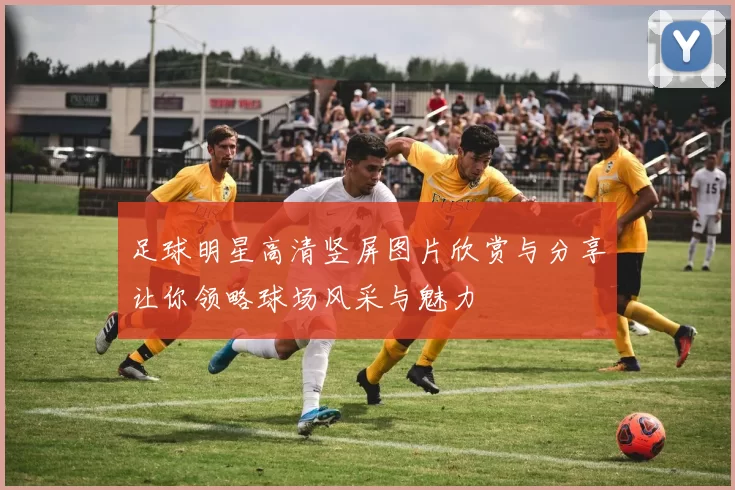 足球明星高清竖屏图片欣赏与分享让你领略球场风采与魅力