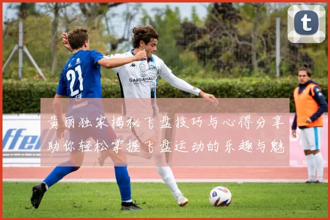 黄丽独家揭秘飞盘技巧与心得分享助你轻松掌握飞盘运动的乐趣与魅力