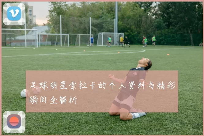 足球明星索拉卡的个人资料与精彩瞬间全解析