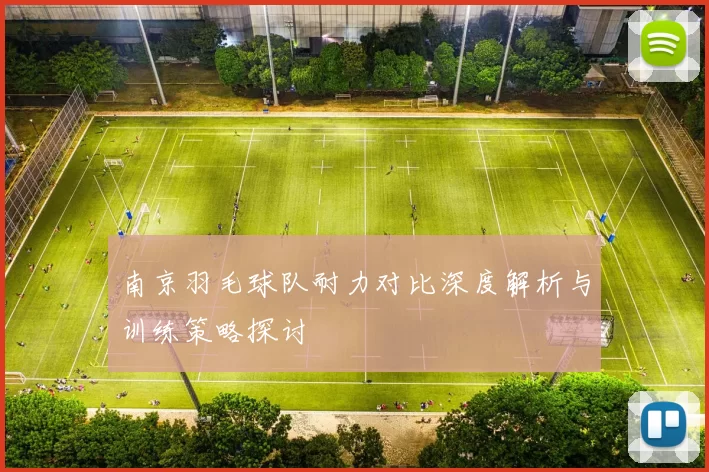 南京羽毛球队耐力对比深度解析与训练策略探讨