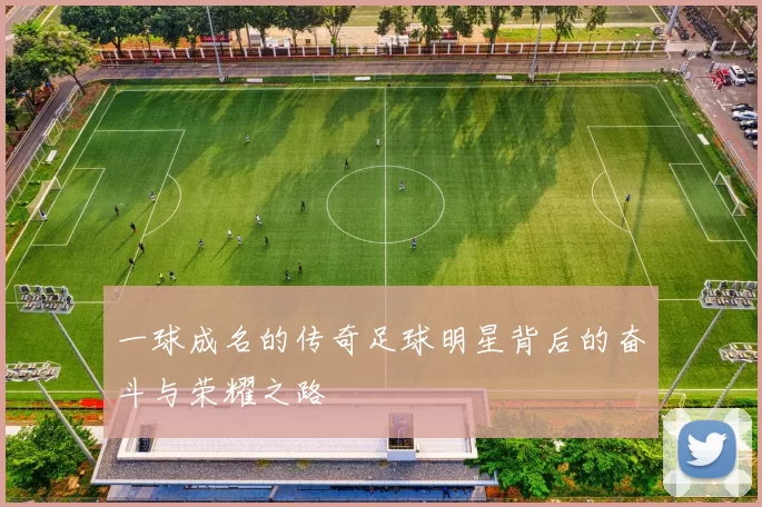 一球成名的传奇足球明星背后的奋斗与荣耀之路