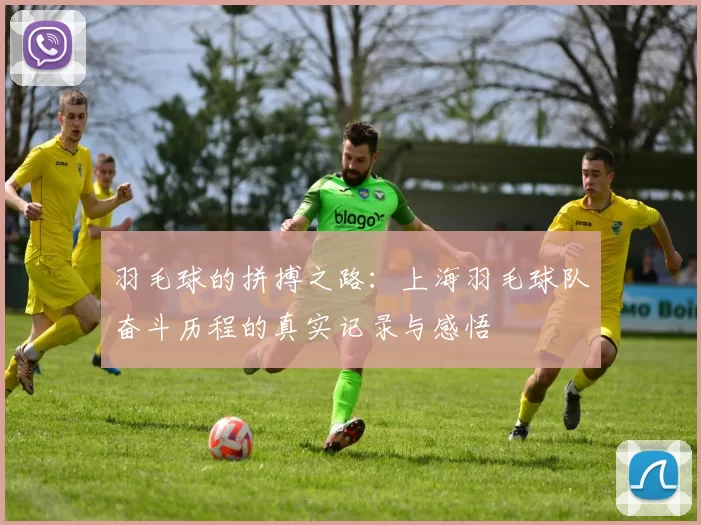 羽毛球的拼搏之路：上海羽毛球队奋斗历程的真实记录与感悟