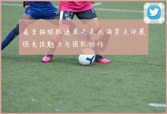 南京排球队速度之美大满贯点评展现竞技魅力与团队协作