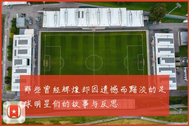 那些曾经辉煌却因遗憾而黯淡的足球明星们的故事与反思