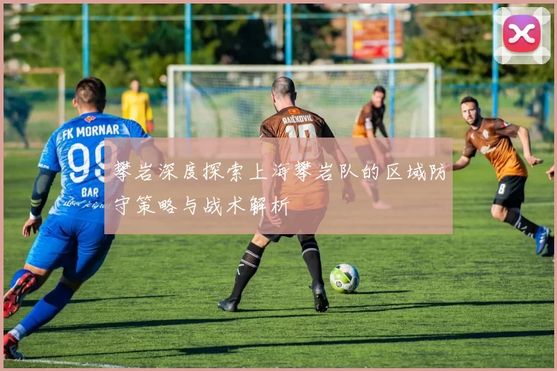 攀岩深度探索上海攀岩队的区域防守策略与战术解析