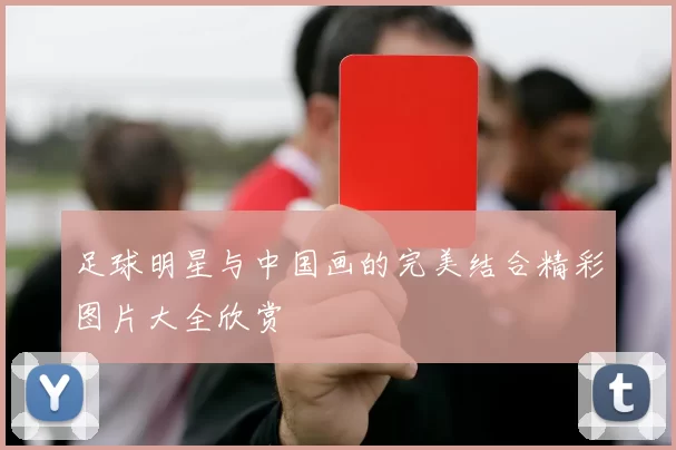 足球明星与中国画的完美结合精彩图片大全欣赏