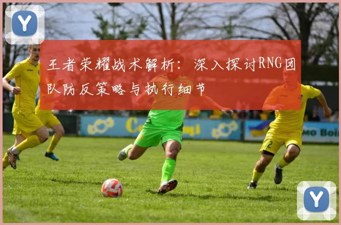 王者荣耀战术解析：深入探讨RNG团队防反策略与执行细节