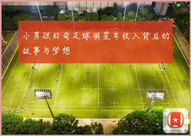 小男孩好奇足球明星年收入背后的故事与梦想
