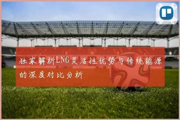 独家解析LNG灵活性优势与传统能源的深度对比分析