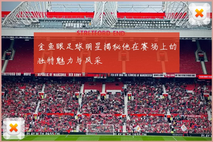 金鱼眼足球明星揭秘他在赛场上的独特魅力与风采