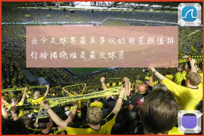 当今足球界最具争议的明星颜值排行榜揭晓谁是最丑球员